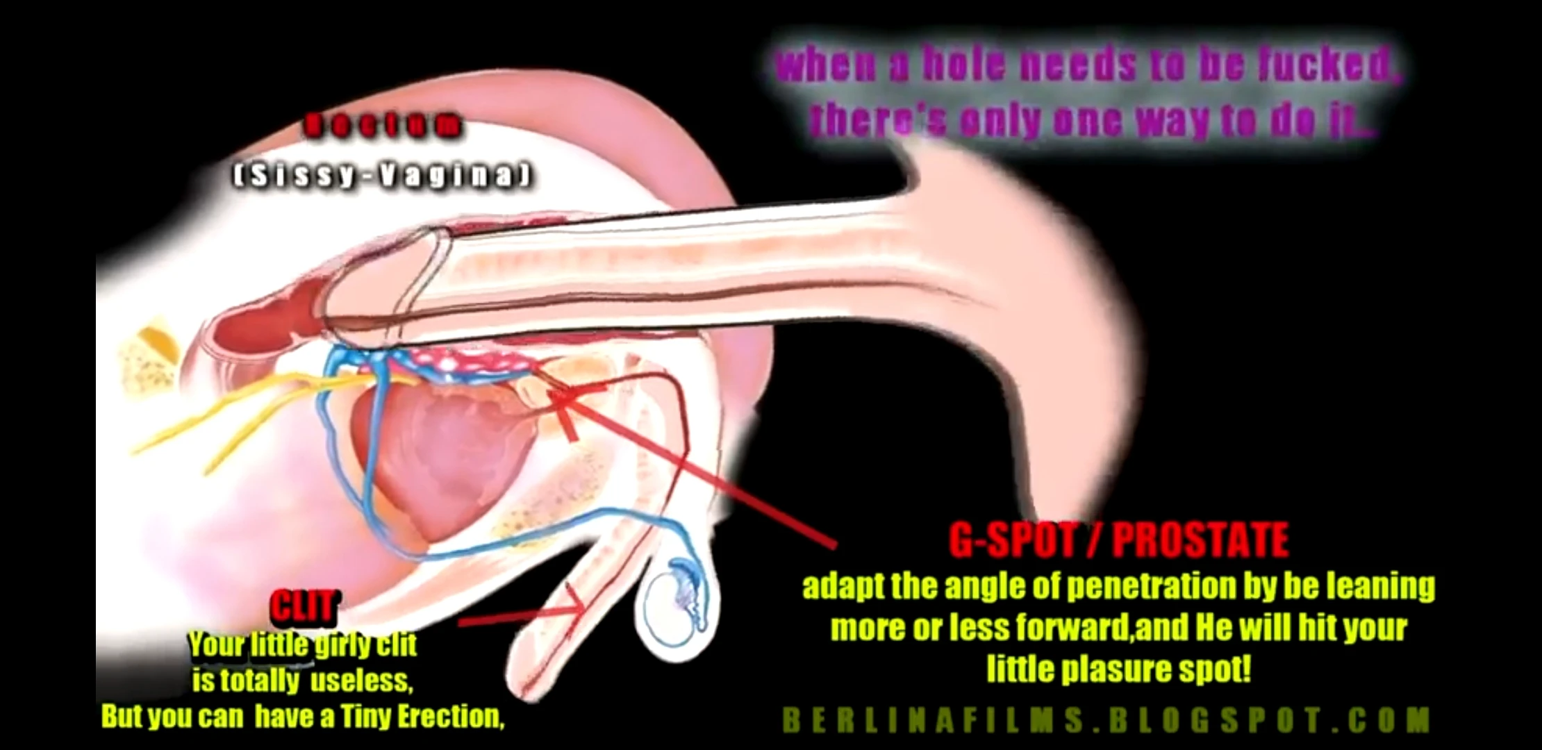 Анатомия сиссидевушек и трансиков во время анала